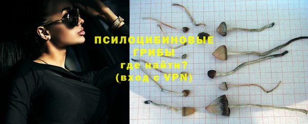 apvp Балабаново