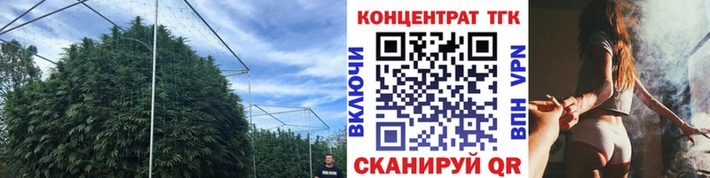 ТГК жижа  Грязовец 