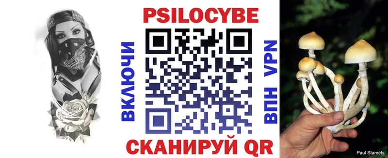 Галлюциногенные грибы GOLDEN TEACHER  Грязовец 