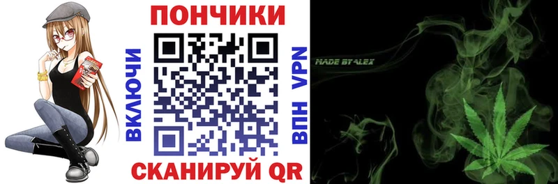 Конопля сатива  купить наркоту  Грязовец 